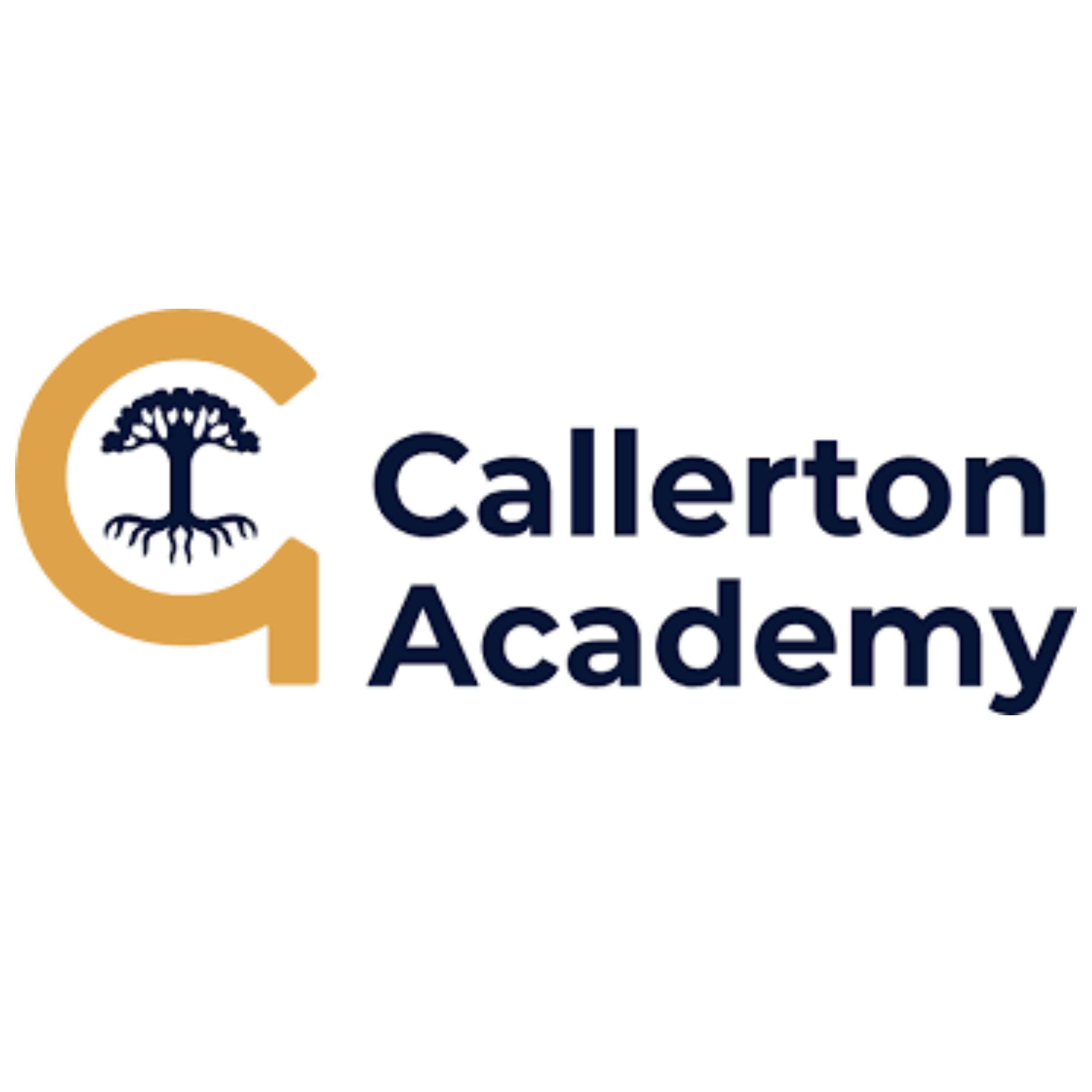 CALLERTON ACADEMY Featured Image